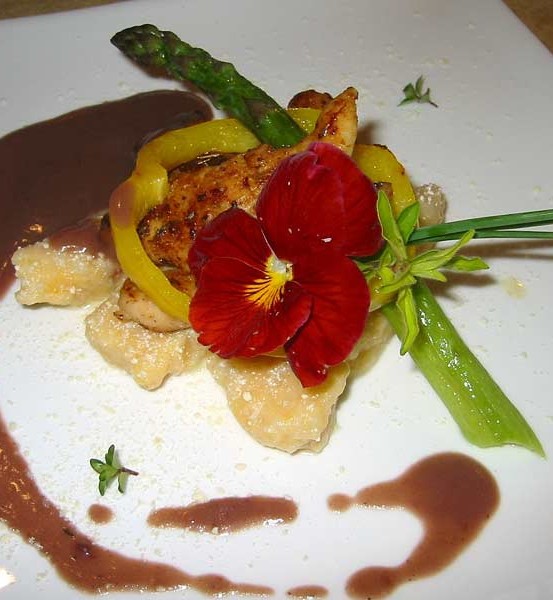 Chicken Tenders, Gnocchi, Asparagus, Chestnut Sauce Chicken Tenders, Gnocchi, Asparagus, Chestnut Sauce