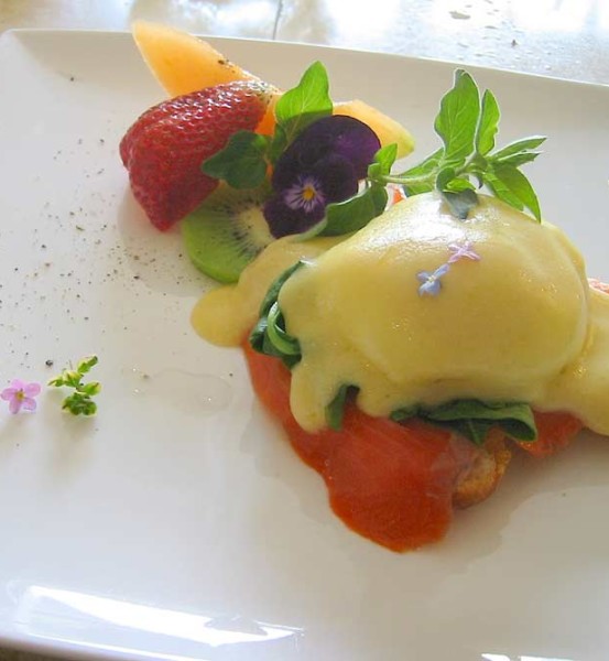 Wild Sockey, Free Range Egg, Wilted Spinach Wild Sockey, Free Range Egg, Wilted Spinach
